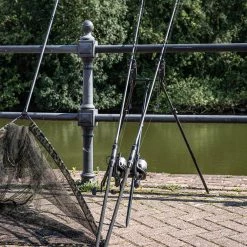 AVID LOK DOWN BUZZ PODS