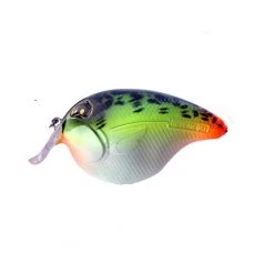 Rozemeijer Fat Izy Predator