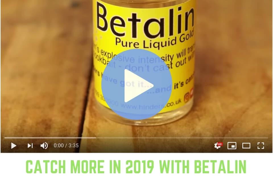 Hinders Bait Hinders Betalin & Plum 2 Hinders Bait Hinders Betalin & Plum