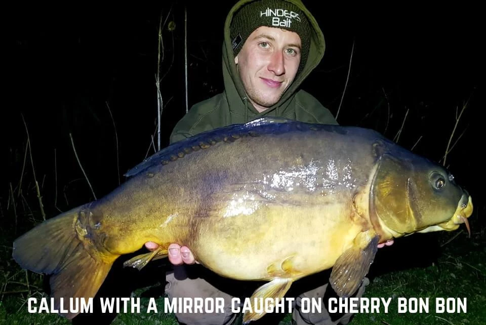 Hinders Bait Hinders Cherry Bon Bon Hookbaits 3 Hinders Bait Hinders Cherry Bon Bon Hookbaits