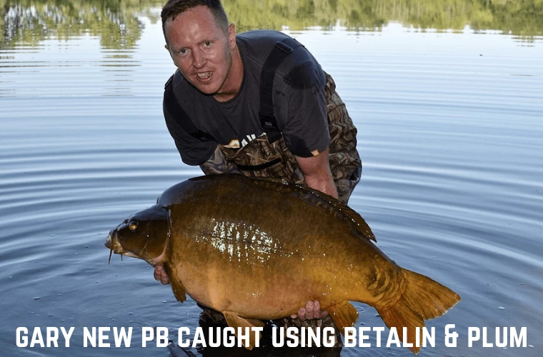 Hinders Bait Hinders Betalin & Plum 3 Hinders Bait Hinders Betalin & Plum