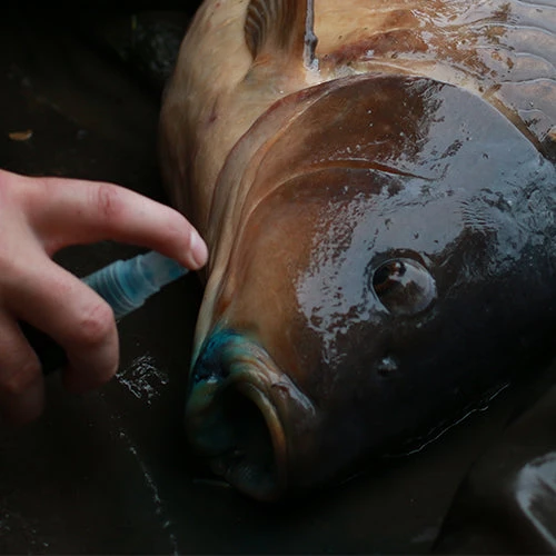 GARDNER TACKLE INTENSIVE CARE 4 GARDNER TACKLE INTENSIVE CARE