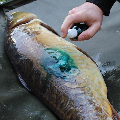 GARDNER TACKLE INTENSIVE CARE 3 GARDNER TACKLE INTENSIVE CARE