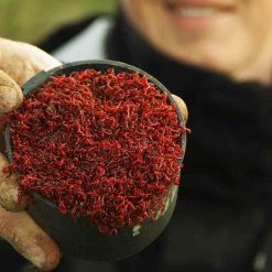 Coarse Preston Preston Kup SET