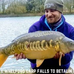 Hinders Bait Hinders Betalin & Black