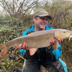 Hinders Bait Hinders Elips Readymade Dumbells 700g 5 Hinders Bait Hinders Elips Readymade Dumbells 700g