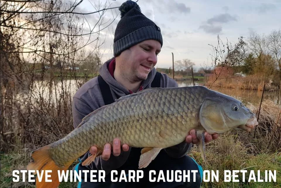 Hinders Bait Hinders Betalin 5 Hinders Bait Hinders Betalin