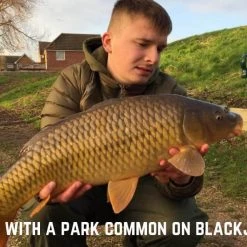 Hinders Bait Hinders Black Jack Hookbaits