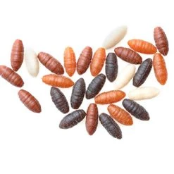 Coarse Drennan Buoyant Casters