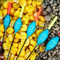 Coarse Drennan Carp 4