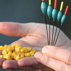 Coarse Drennan Carp 4 11 Coarse Drennan Carp 4