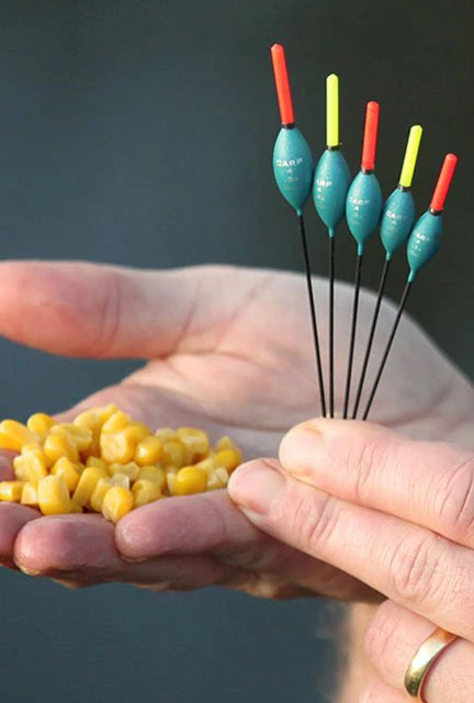 Coarse Drennan Carp 4 6 Coarse Drennan Carp 4