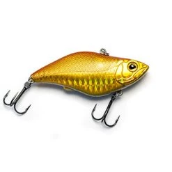 Predator E-Sox Jester