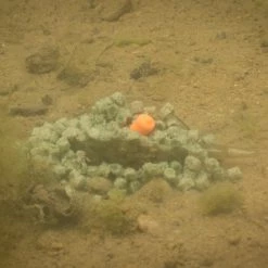 Drennan Pellet Method Feeders