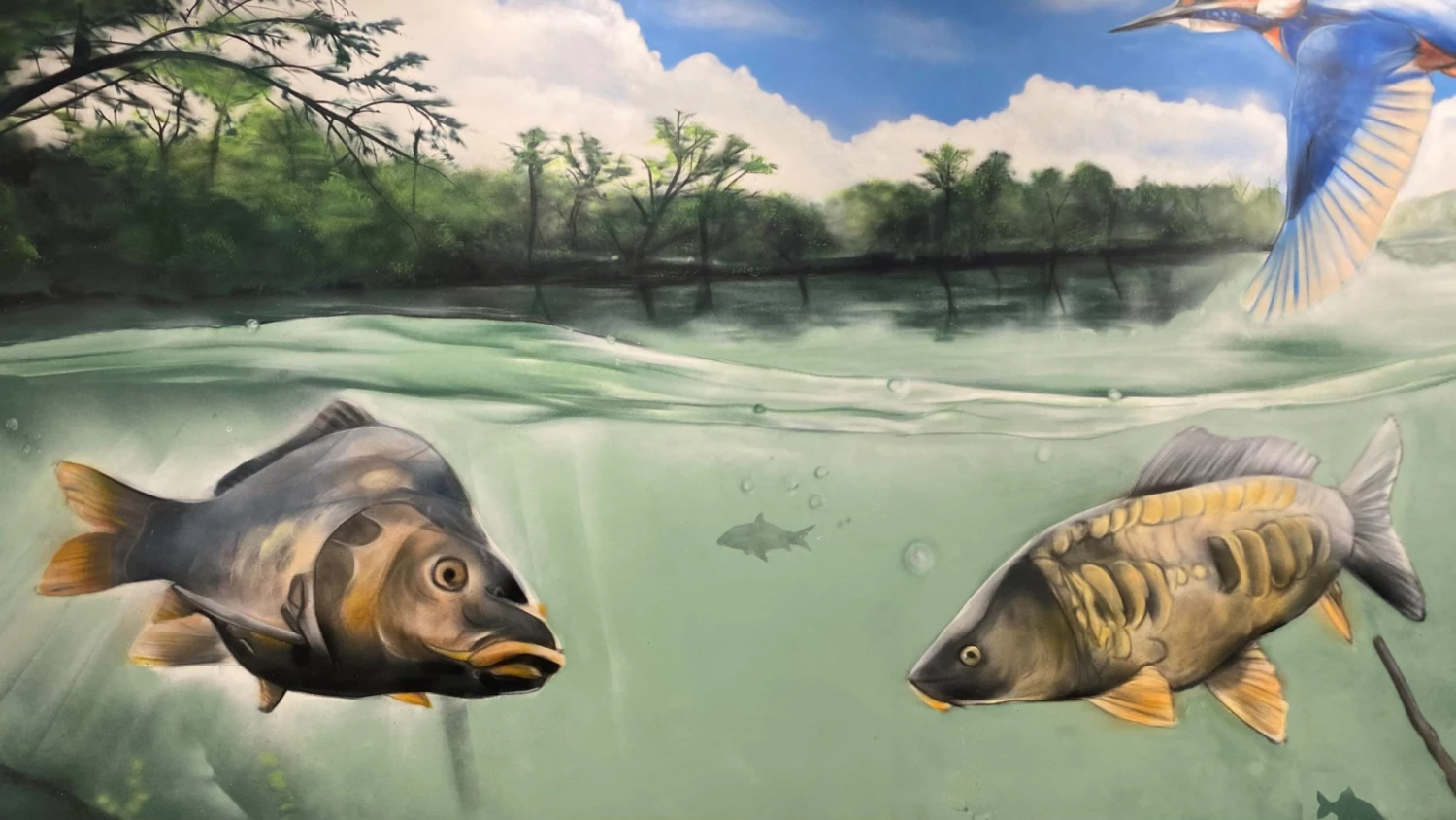 Totally Hooked Ltd Sales 2 Totally Hooked Ltd Sales -Totally Hooked Ltd Sales l1 scaled